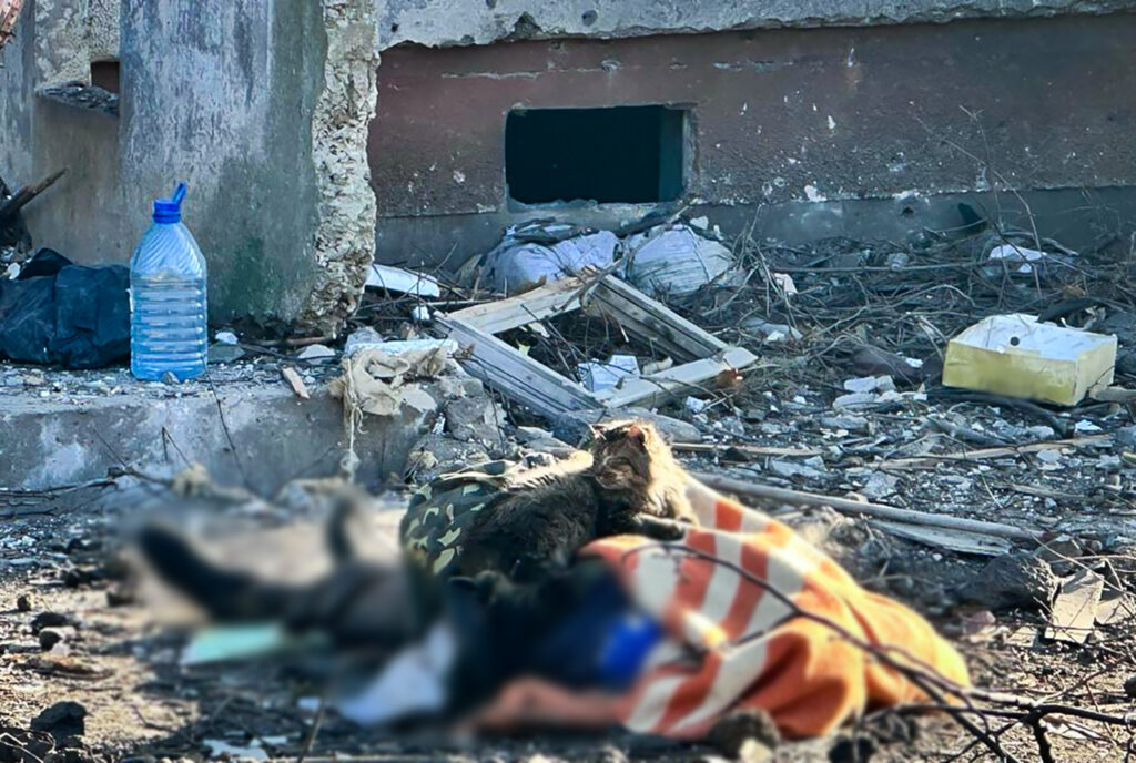 Удар по селу під Запоріжжям завдали нестандартним озброєнням (ФОТО)