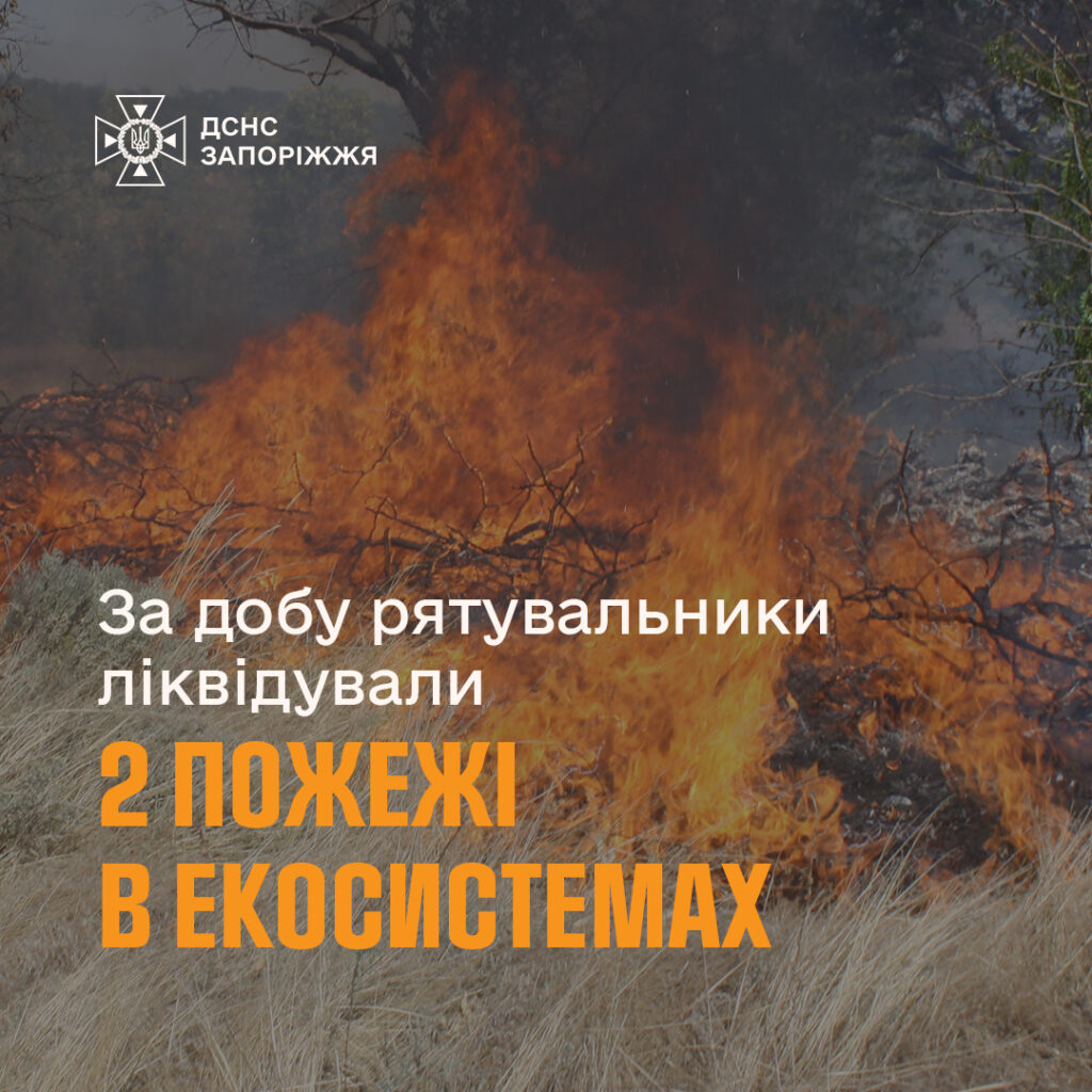 На Запоріжжі впродовж доби рятувальники здійснили 14 виїздів