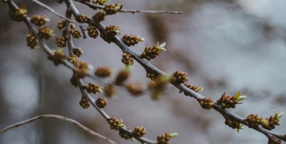 Завтра в Запорожье станет ощутимо прохладнее: сколько это будет продолжаться