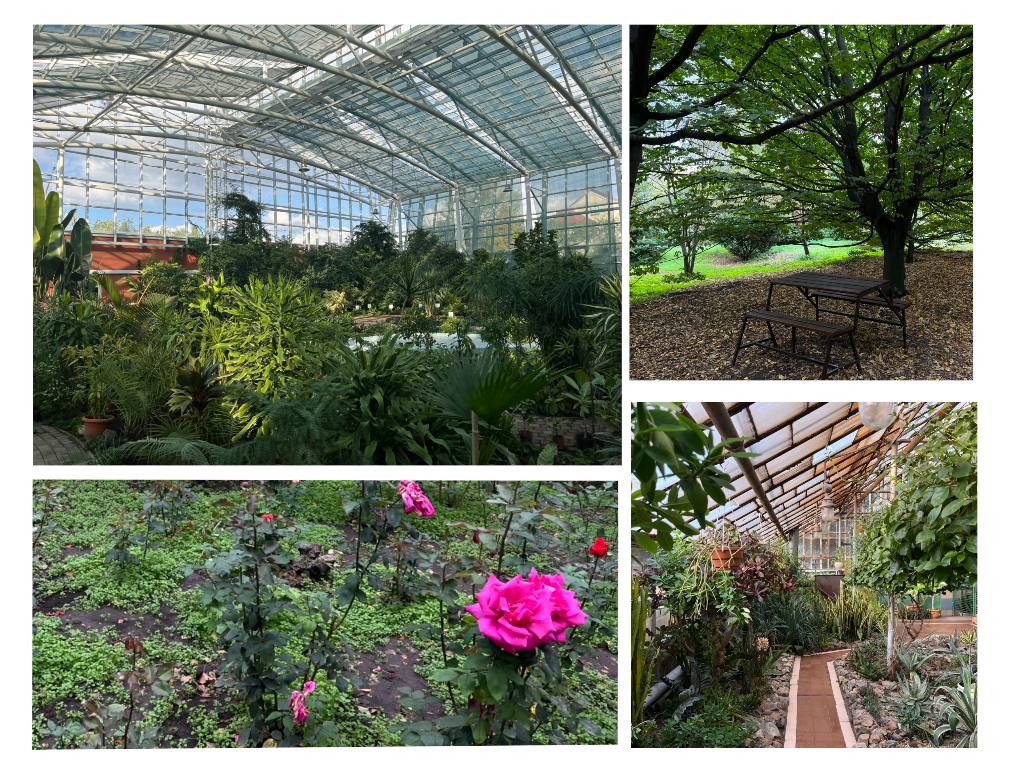 Як виглядає ботанічний сад у Запоріжжі зараз (ФОТОРЕПОРТАЖ)