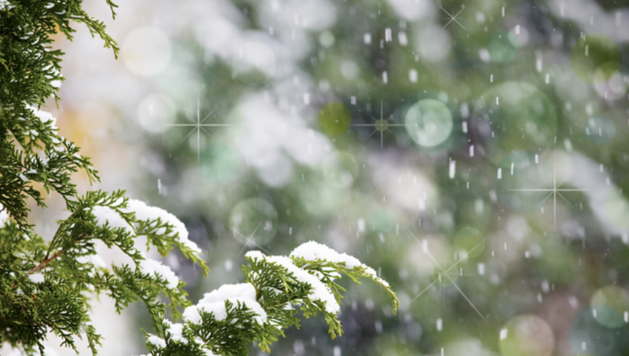 Синоптики попереджають: у Запоріжжі кілька днів буде сніг