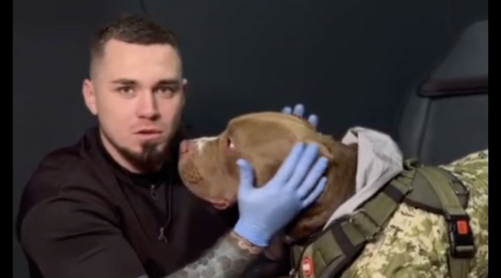 Запорізький майстер зробив татуювання собаці (ВІДЕО)