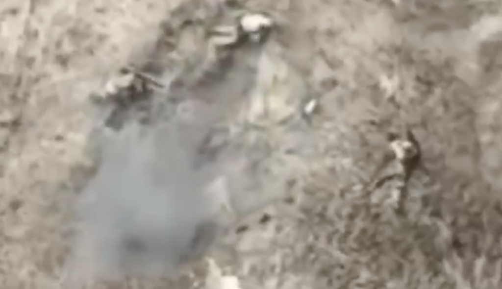 Відео, яке має побачити кожен: дрони нищать окупантів на Запоріжжі