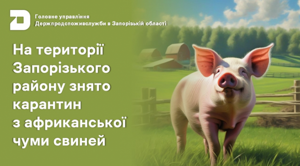 На території Запорізького району зняли карантин з африканської чуми свиней