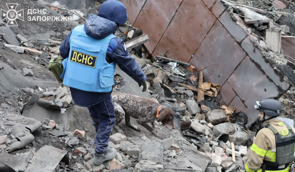 27-річний хлопець досі зниклий: у Запоріжжі відновили пошуки на місці трагедії