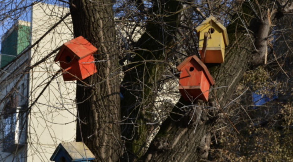 Що буде з погодою в Запоріжжі цього тижня