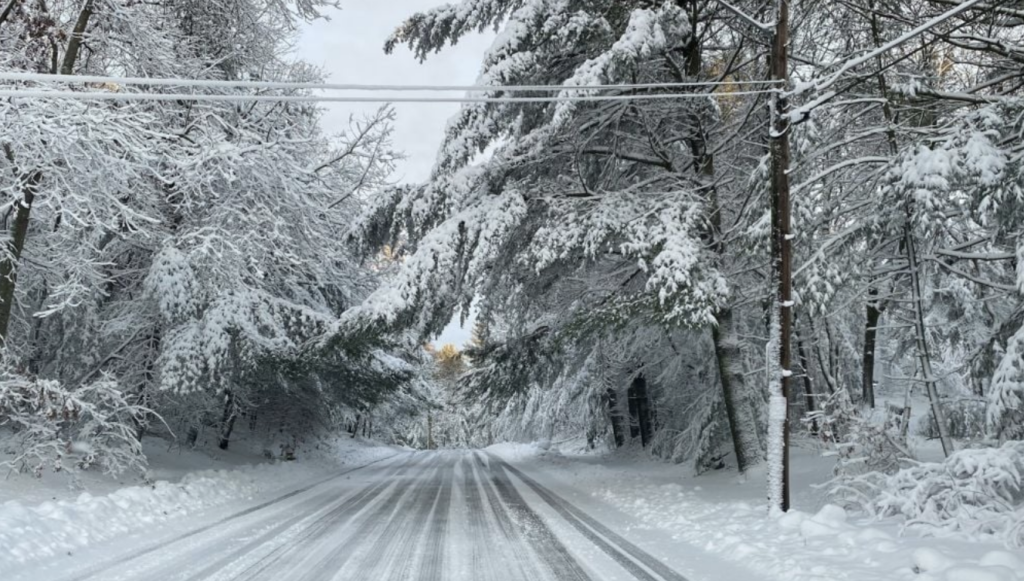 Ученые объяснили, куда исчез снег и почему зимы в Украине напоминают весну
