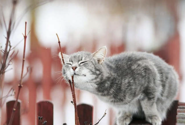 В Запорожье наступает аномальное тепло: прогноз на неделю