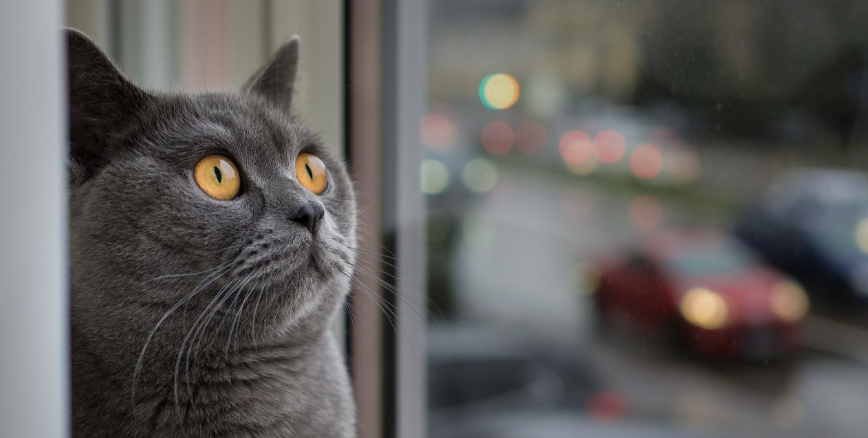 Синоптики назвали самые теплые дни этой недели в Запорожье