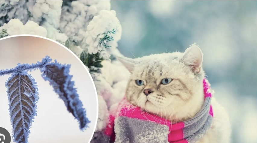 Запорожье на пороге морозов: названы точные даты существенного похолодания