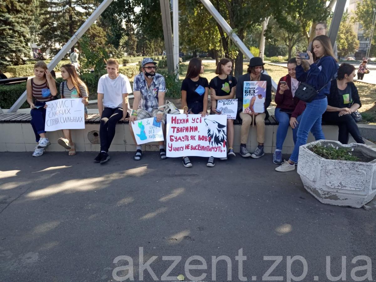 70026448 381474682745028 8619185015797841920 n