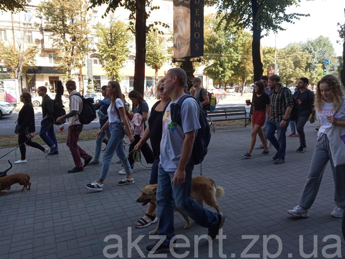 70055504 701257777008480 3232669012928233472 n