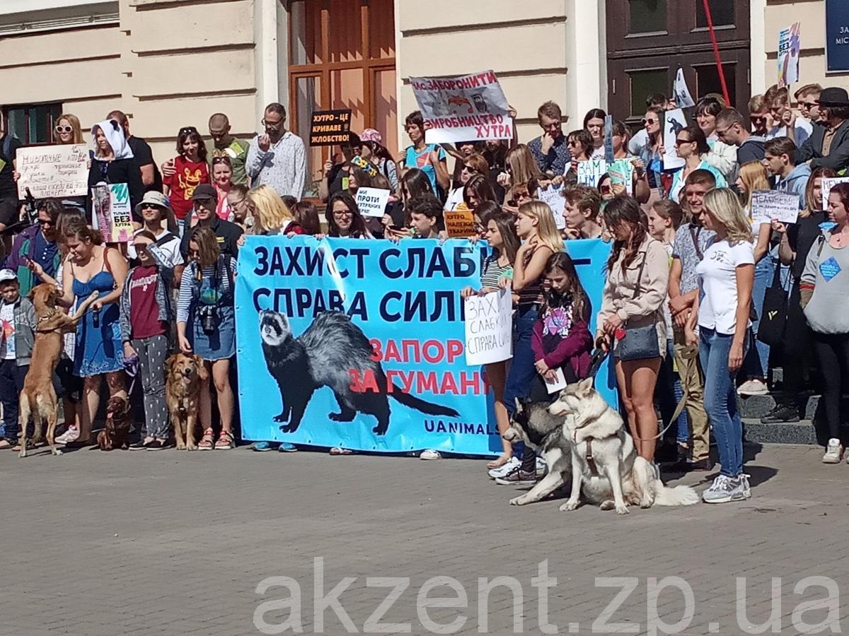 70162673 2516238895105777 8445803259142078464 n (1)