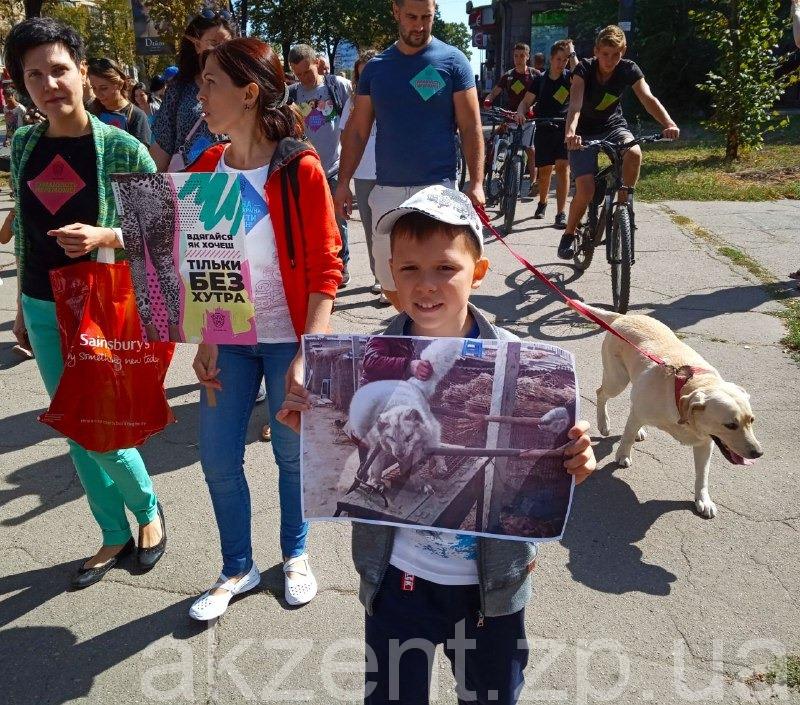 70166160 951440918572281 1417372558101053440 n