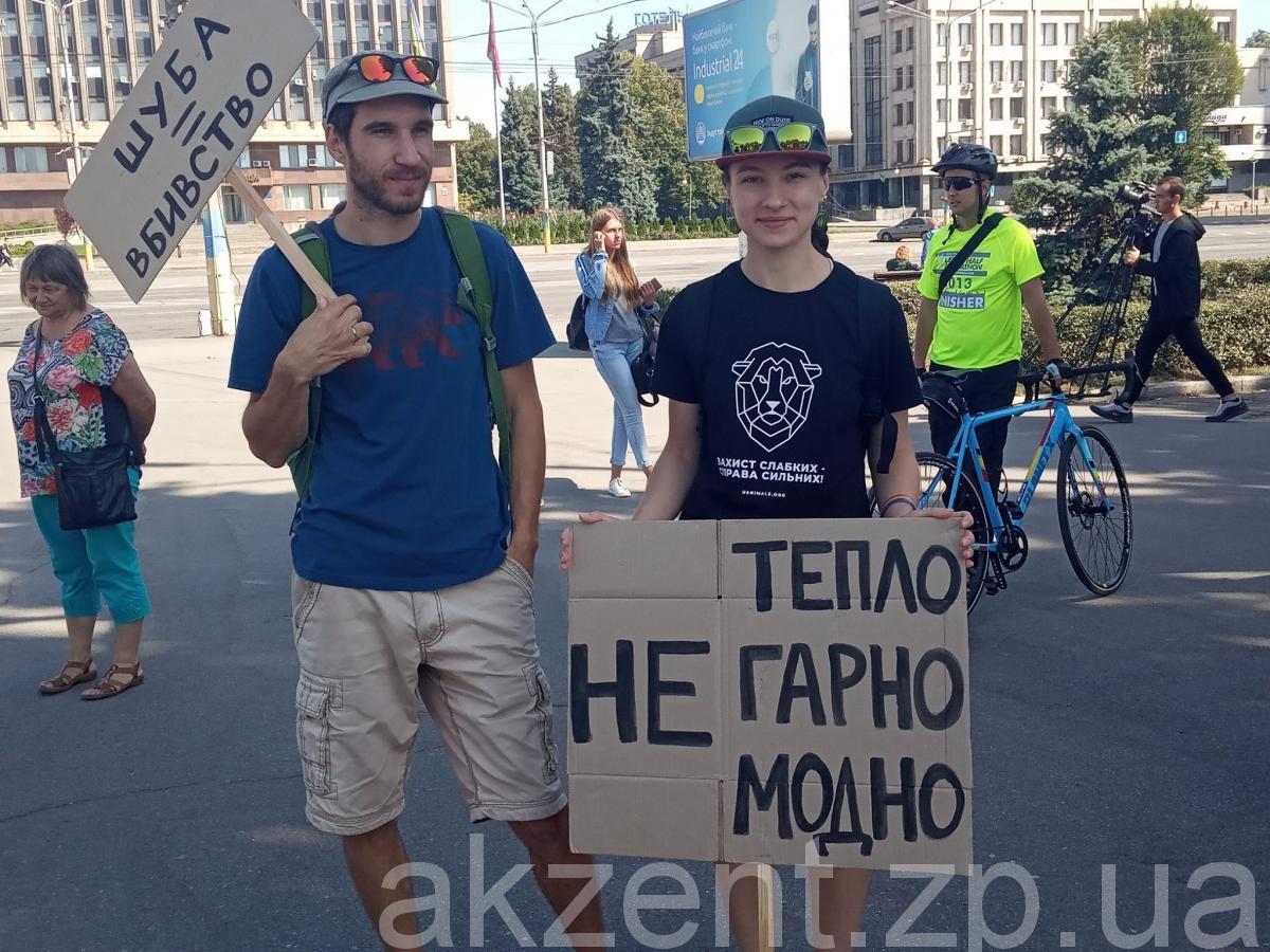 70646154 955599554784720 3676330742238937088 n