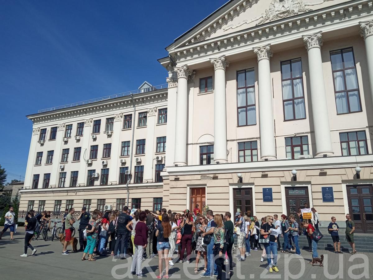 70686299 408714386503984 3009605166241415168 n