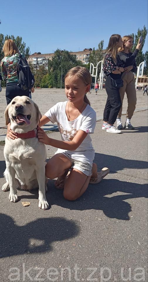 70941004 559109341494448 2961959904320946176 n