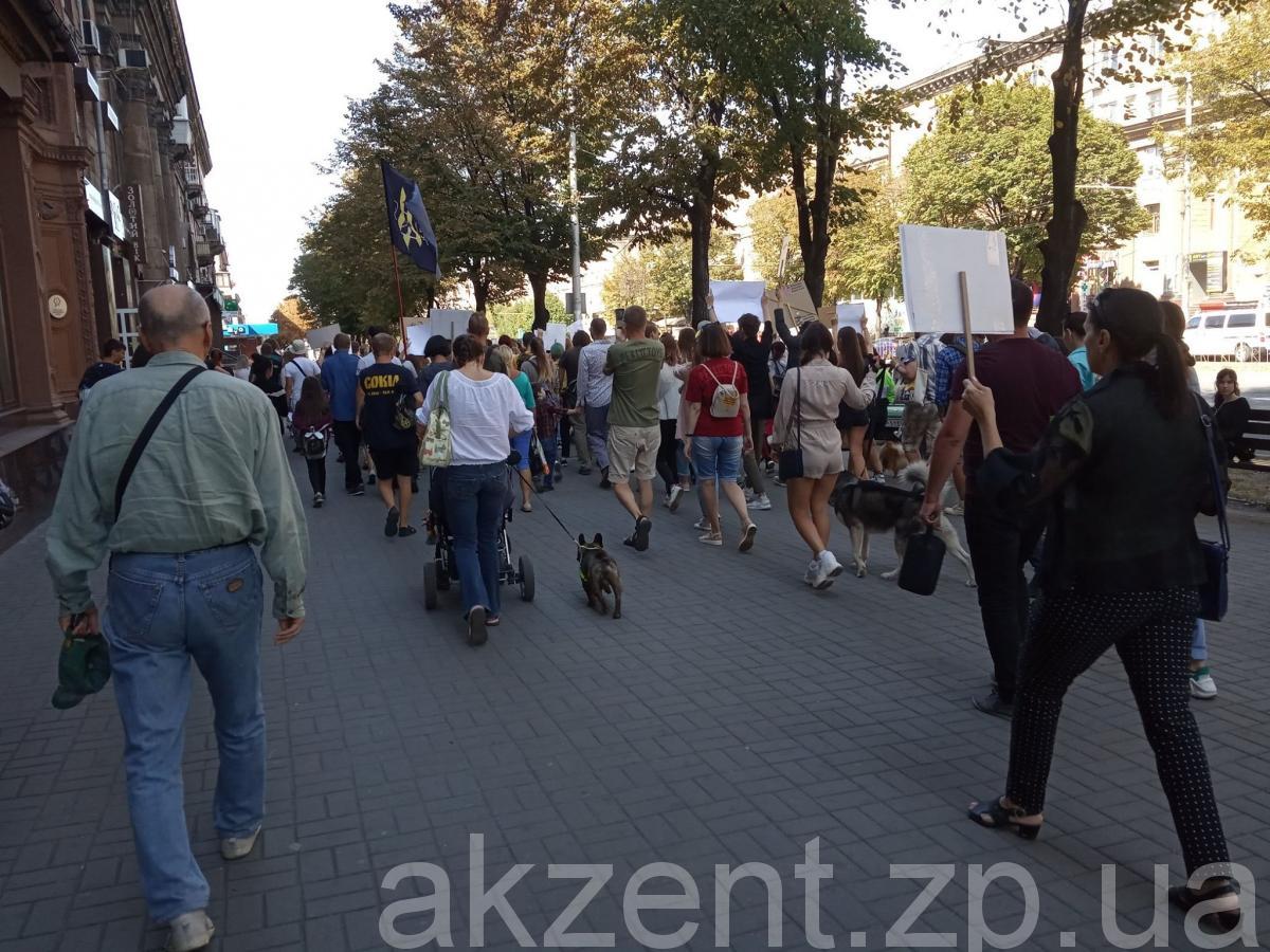 70978481 537852483633193 7417676152489115648 n