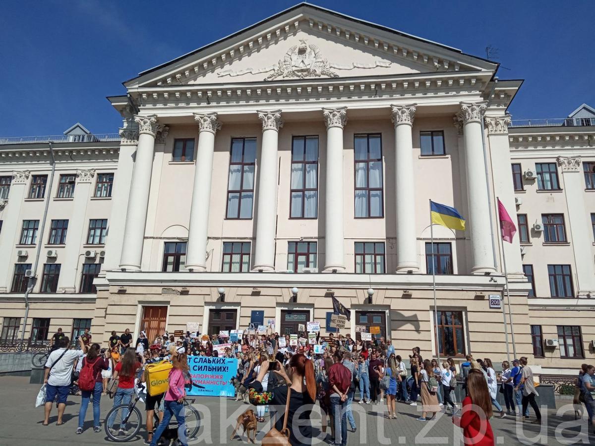 71018906 410528932931838 8917998895741534208 n