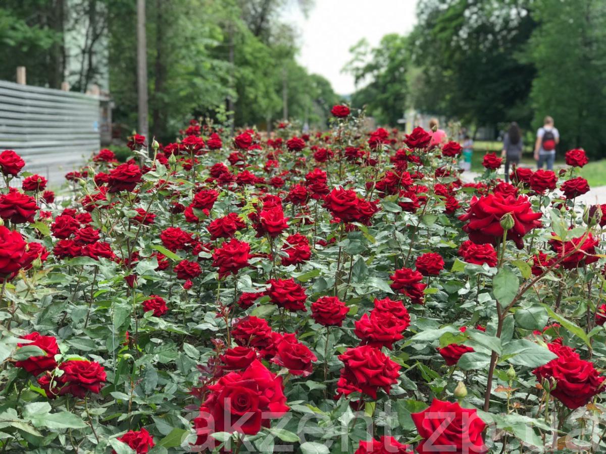 photo5443153827252513440