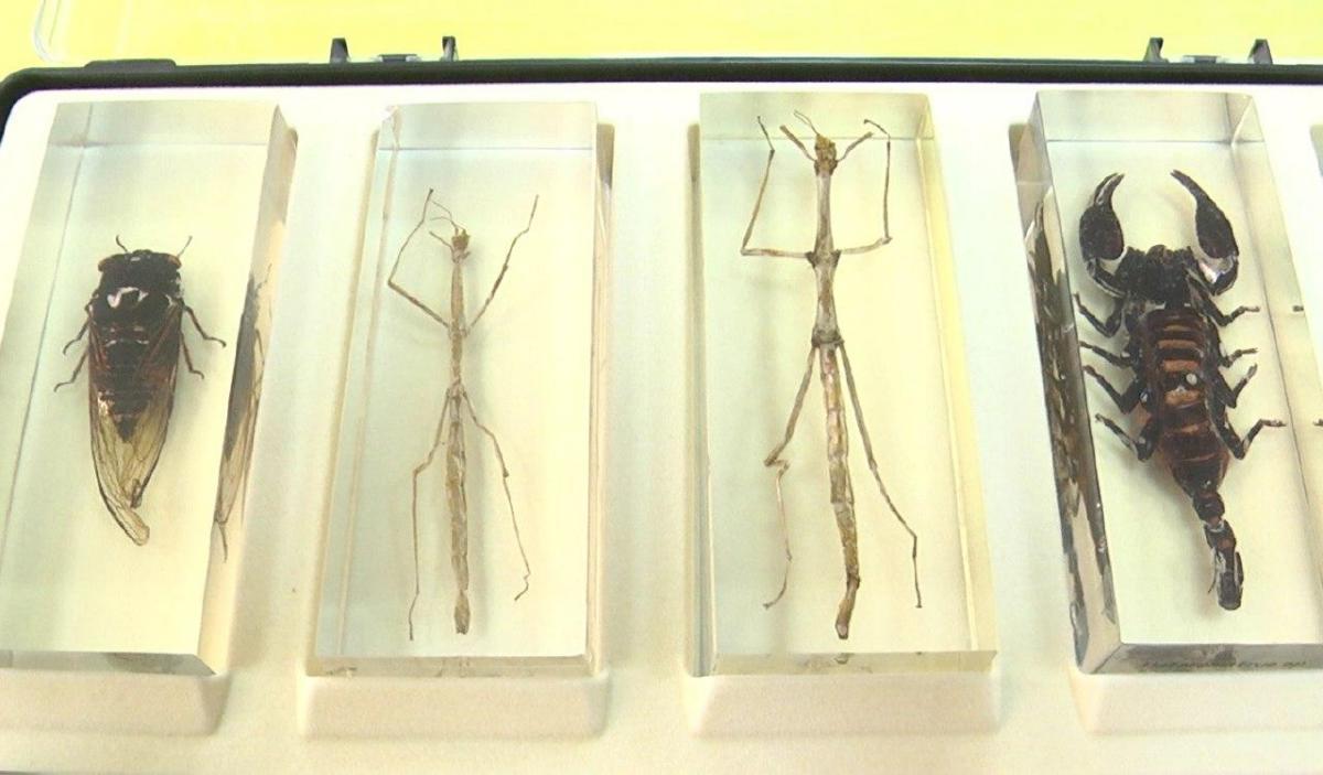 photo 2020-08-20 13-27-21