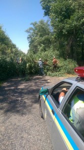 13620307_295396137482144_7406827104435967260_n