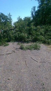 13716156_295396167482141_7480440651043930983_n