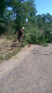 13728923_295396184148806_6056496137501892059_n