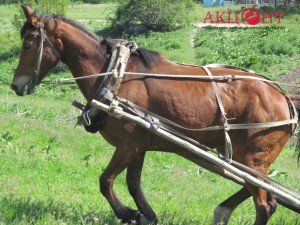 592bc0a09f122_18765491_1427155857354319_1642389435_o      