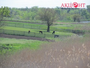 592bc0a131999_18789226_1427155694021002_804640816_o      