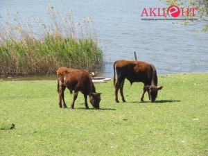 592bc0a188154_18817486_1427155690687669_903508445_o      